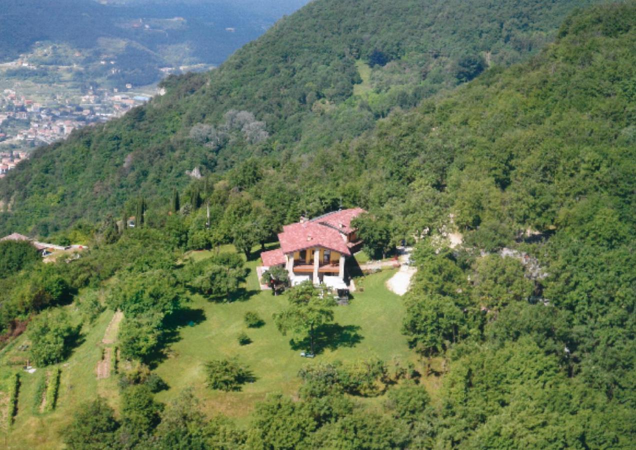 La Fiocchina - Magic Place - Apartments & Studios In Garda Lake - Countryside Farmhouse, Inside The Middle Of The Lake Salò Dış mekan fotoğraf